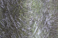 Golborne fibreglass roof work